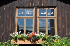 landhaus_garten_1648
